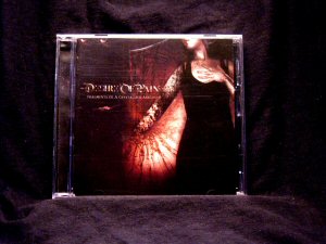 Desire of Pain - Fragments of a Crystallized Absence CD