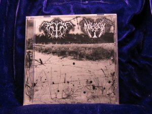 VA - Moloch (and) Tomhet - Split CD