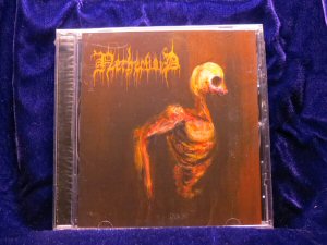Nethervoid - Sirens of the Blistering Light CD