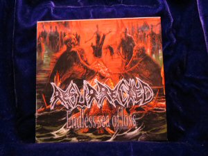Resurrected - Endless Sea of Loss + Bloodline CD