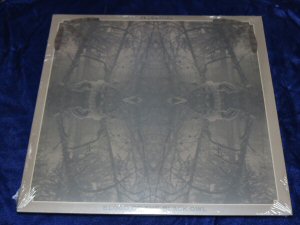 VA - Blood of the Black Owl (and) Celestiial - Split 12 in Vinyl LP