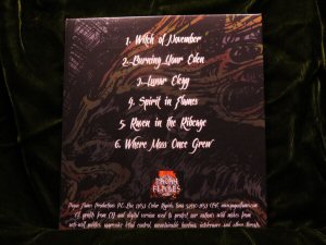 When Bitter Spring Sleeps - Spirit in Flames CD Digipack